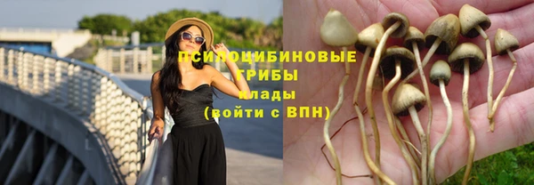 соль ск Бугульма