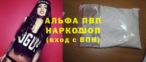 хмурый Бородино