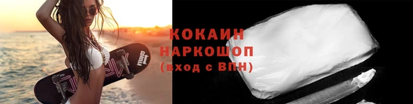 хмурый Бородино