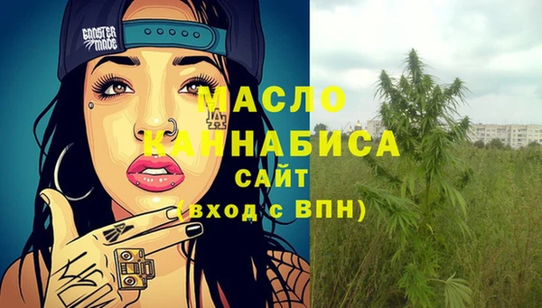 хмурый Бородино