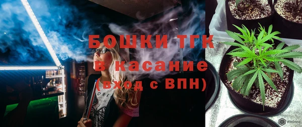 хмурый Бородино