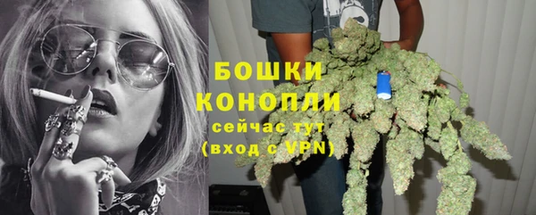 хмурый Бородино