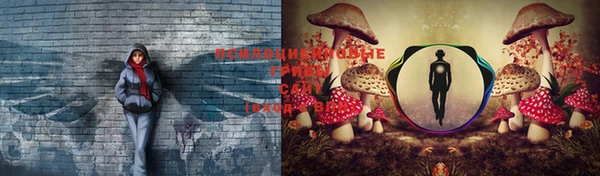 соль ск Бугульма