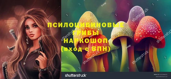 хмурый Бородино